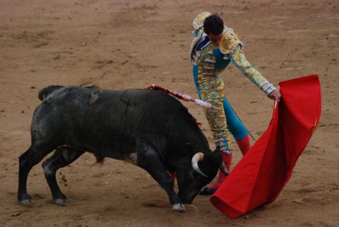 Madrid Bullfight With Bullfighter and Bull